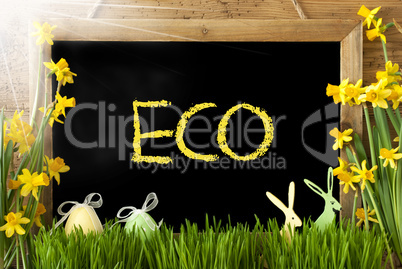 Sunny Narcissus, Easter Egg, Bunny, Text Eco