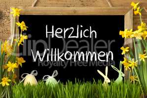 Narcissus, Easter Egg, Bunny, Herzlich Willkommen Means Welcome