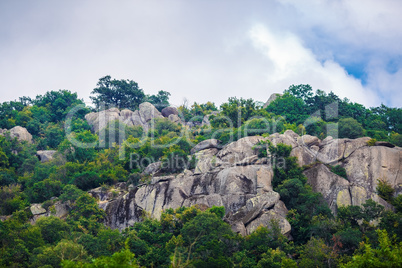 Rocks and green trees