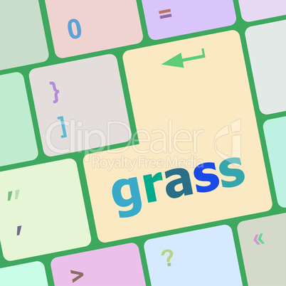 Computer keyboard button with grass button