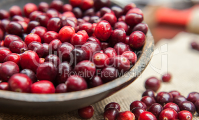 Fresh cranberries  in rustic wooden bowl on burlap Background an