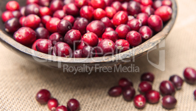 Fresh cranberries  in rustic wooden bowl on burlap Background an