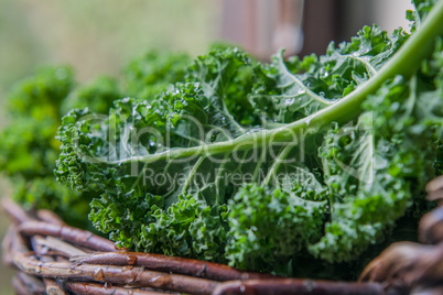 Kale in rustic basket on daylight  close Up