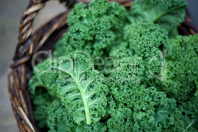 Kale in rustic basket on daylight  close Up