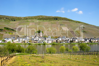 Zell-Merl an der Mosel