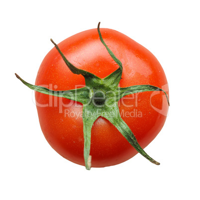 Red tomato isolated over white