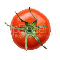 Red tomato isolated over white
