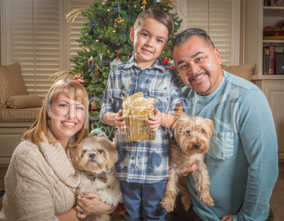 Young Mixed Race Family In Front of Christmas Tree