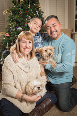 Young Mixed Race Family In Front of Christmas Tree