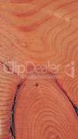 Larch wood background