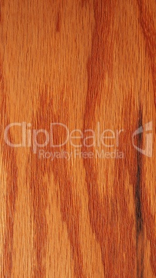 Red oak wood background