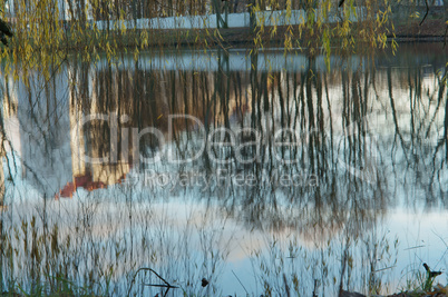 reflection, tree, water, lake