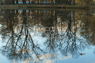 reflection, tree, water, lake