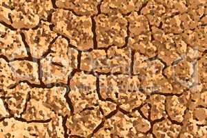 Dried soil background