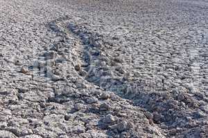 Furrow in dried soil