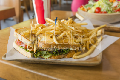 Tasty sandwich closeup