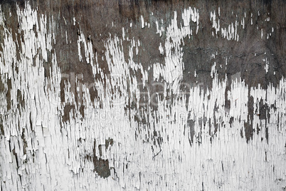 Wooden texture with peeling paint