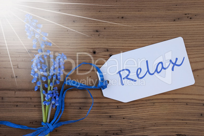 Sunny Srping Grape Hyacinth, Label, Relax