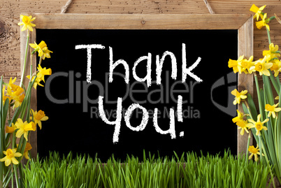 Spring Flower Narcissus, Chalkboard, Text Thank You