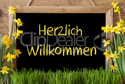 Spring Flower Narcissus, Chalkboard, Herzlich Willkommen Means Welcome