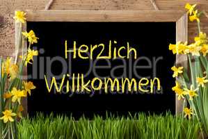 Spring Flower Narcissus, Chalkboard, Herzlich Willkommen Means Welcome