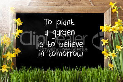Sunny Spring Narcissus, Chalkboard, Quote Plant Garden Believe In Tomorrow