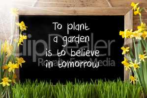 Sunny Spring Narcissus, Chalkboard, Quote Plant Garden Believe In Tomorrow