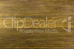 Pine wood background