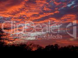 Abendhimmel mit roten Wolken