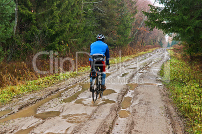 cyclist, path in the forest