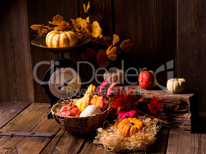 Cornucopia