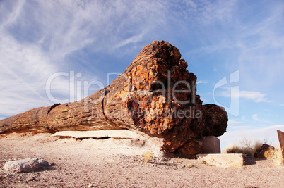 Petrified-Forest-National-Park, Arizona, USA