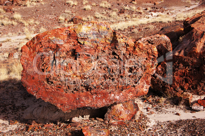 Petrified-Forest-National-Park, Arizona, USA