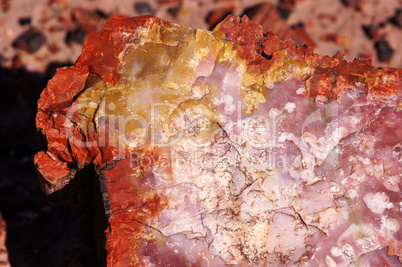 Petrified-Forest-National-Park, Arizona, USA