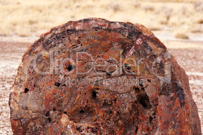 Petrified-Forest-National-Park, Arizona, USA Petrified-Forest-National-Park, Arizona, USA
