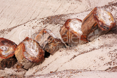 Petrified-Forest-National-Park, Arizona, USA