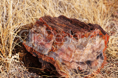 Petrified-Forest-National-Park, Arizona, USA