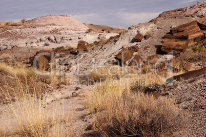 Petrified-Forest-National-Park, Arizona, USA