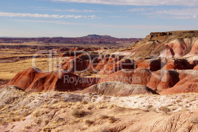 Petrified-Forest-National-Park, Arizona, USA