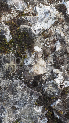 Stone wall with moss - vertical