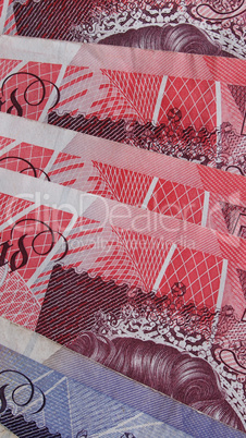 Pound notes - vertical