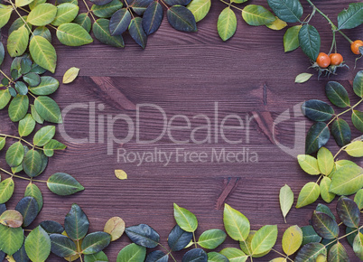 Wooden background with autumn leaves laid out on the perimeter