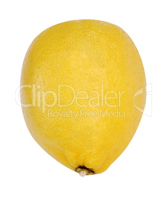 yellow raw lemon isolated