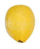 yellow raw lemon isolated