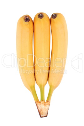 many yellow banana isolated