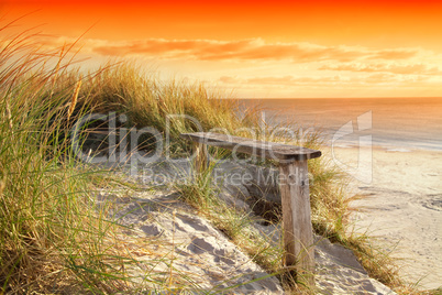 bench on the coastline