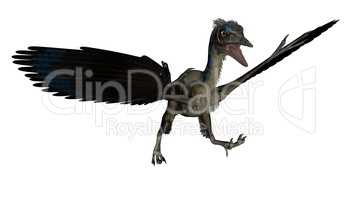 Archaeopteryx bird dinosaur landing - 3D render