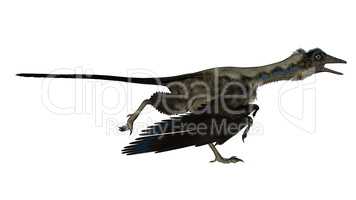 Archaeopteryx bird dinosaur running - 3D render