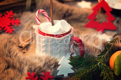 Hot chocolate with marshmallows