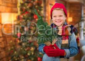 Boy Wearing Scarf In Christmas Decorated Room Holding Small Tree
